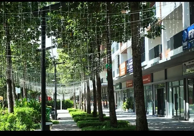 Thuê Shophouse Artisan Park Trực Tiếp Chủ Đầu Tư: Miễn Phí 6 Tháng Tiề