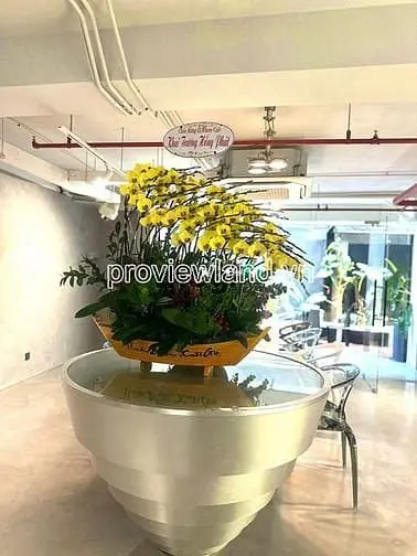 Bán Tòa Nhà Trần Hưng Đạo Quận 1, Hầm 6 Lầu, Dt 252M², Thu 200Tr/Th