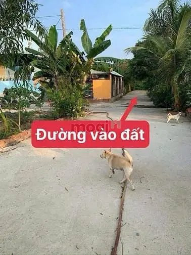 Bán Gấp Đất Thổ Đại Phước Nhơn Trạch Ngay Cầu Cát Lái.phú Mỹ 2, Giá Rẻ