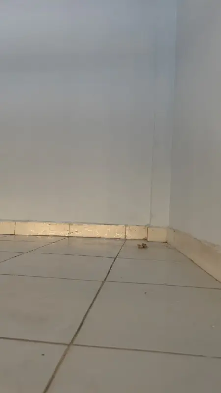 Phòng Trọ Cho Thuê Đường Lô Tư Phường Bình Hưng Hoà A