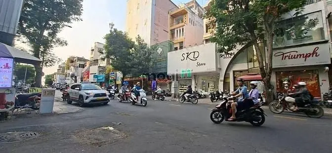 4.8Mx10M 5 Tầng Mt Đường Lê Văn Sỹ - Huỳnh Văn Bánh Chính Chủ Định Cư