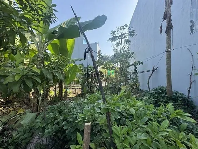 Bán Đất 84M2, Ngang 6.2M, Kdc Long Thuận Q9. Giá Chỉ 3.8 Tỷ