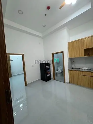 Tòa Nhà Chdv - Mt Bùi Thế Mỹ – Tân Bình | Dt Đất Lớn - Dòng Tiền Sẵn