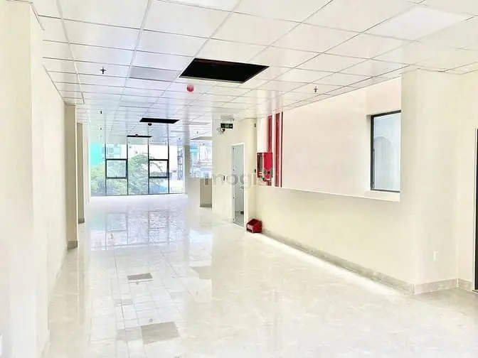 Cho Thuê Tòa Nhà 57 57A Hồ Hảo Hớn, Dt 8X25M, 5 Lầu Giá Thuê 250 Triệu