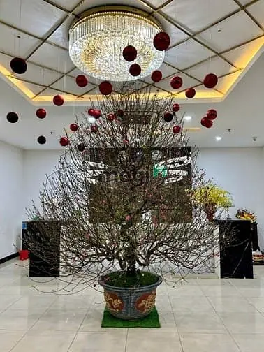 Bán 3Pn-100M² Goldmark City-8,95 Tỷ Trung Tâm Mỹ Đình, Giáp Cầu Giấy