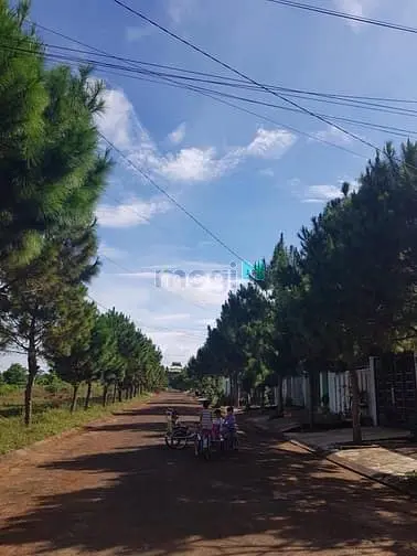 Đất Nền Khu Dân Cư Phú An Phường Diên Hồng