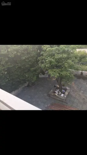 Căn Hộ Mini Cao Cấp Mới 100% Khu Biệt Thự An Lộc Nguyễn Oanh, Phù Hợp Tri Thức Văn Phòng 3.5Tr/Th