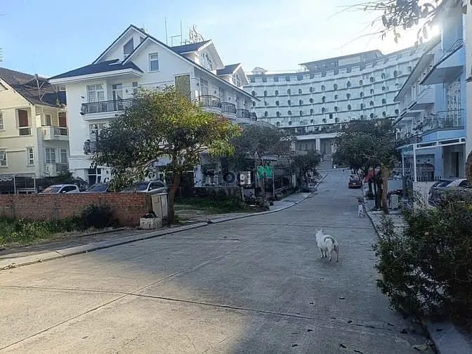 Bán 2 Lô Đất Mặt Tiền Kqh Nguyễn Thị Nghĩa Bùi Thị Xuân Đà Lạt.