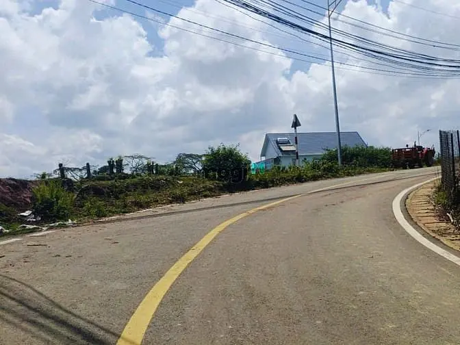 Bán Đất 557M View Rừng Thông Mặt Tiền Đường Cạnh Mây Lang Thang Đà Lạt