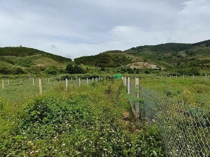 Bán Đất 511M2 Đường Ô Tô Gần Sân Bay Liên Khương Đức Trọng, Nhỉnh 2 Tỷ