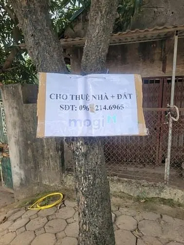 Cho Thuê Nhà Đất Mặt Đường Phú Minh, Bắc Từ Liêm,Hà Nội