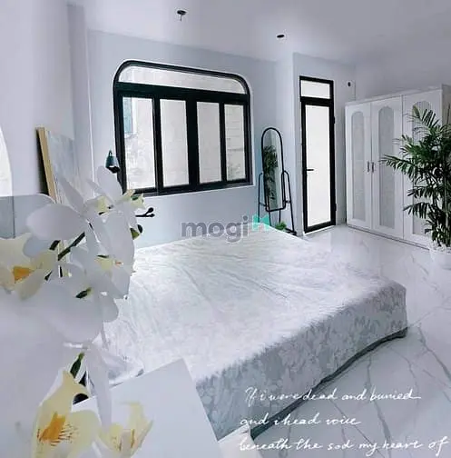 Tào Nhà Dòng Tiền Trung Tâm Câu Giấy