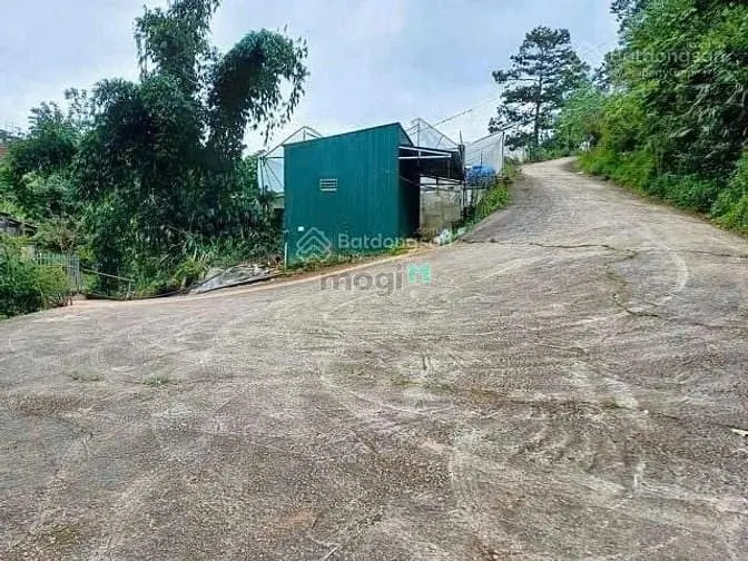 Bán Đất Nông Nghiệp 1018M2 Măng Lin Đà Lạt, View Đồi Thông Đường Ô Tô