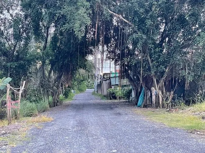 Chính Chủ Cần Bán Nhanh Lô Đất Lớn 1.2 Hecta Tại Vườn Thơm - Bình Lợi