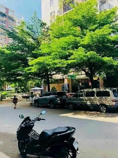 Bán Nhà Rộng Đẹp 4 Tầng (5X23) 79/25 Đường Số 2, P3, Gò Vấp Nguyễn Kệm