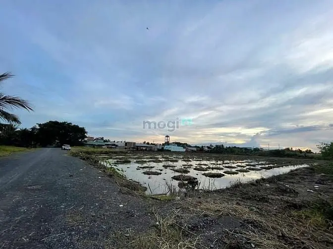 Chính Chủ Cần Bán Nhanh Lô Đất Lớn 1.2 Hecta Tại Vườn Thơm - Bình Lợi