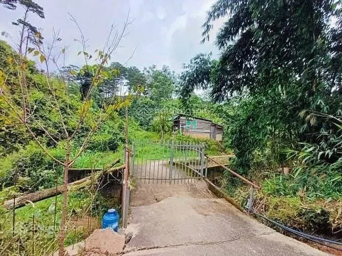 Bán Đất Nông Nghiệp 1018M2 Măng Lin Đà Lạt, View Đồi Thông Đường Ô Tô