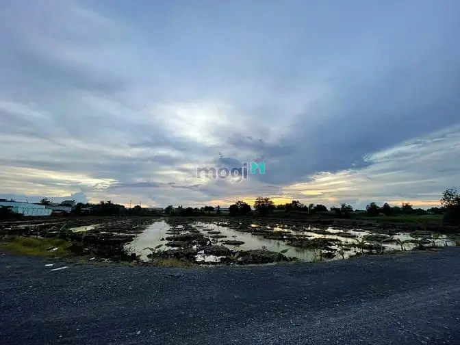 Chính Chủ Cần Bán Nhanh Lô Đất Lớn 1.2 Hecta Tại Vườn Thơm - Bình Lợi