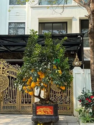 Bán Nhanh Căn Nhà Siêu Hiếm. Ful Nội Thất Xịn Sò. Có Một Không Hai Tại