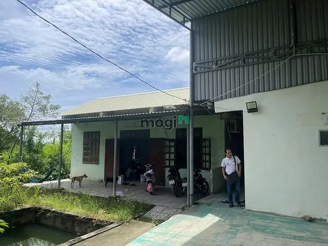 Cho Thuê Đất Vàng-Cực Hiếm-2,5 Ha-2 Mặt Tiền-Cách Cảng Cái Mép 10Km