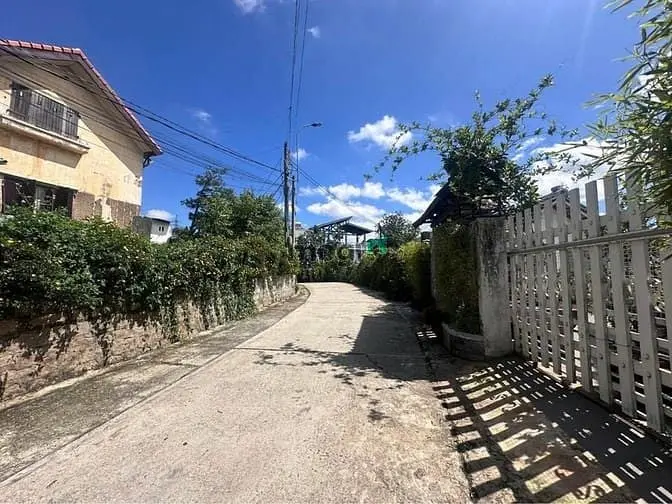 Bán Đất View Rừng Thông Rất Đẹp Đường Ô Tô Hoàng Hoa Thám Đà Lạt