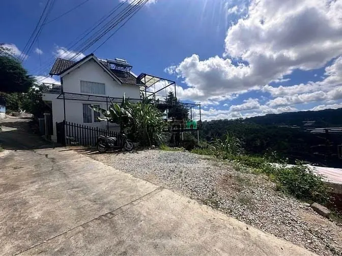 Bán Đất View Rừng Thông Rất Đẹp Đường Ô Tô Hoàng Hoa Thám Đà Lạt