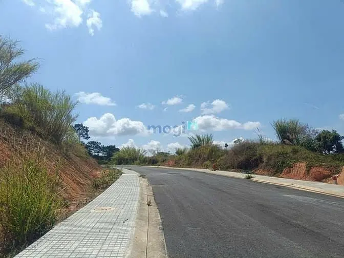 Bán Đất Biệt Thự View Đồi Thông Kqh An Sơn Đà Lạt, Cách Trung Tâm 3Km