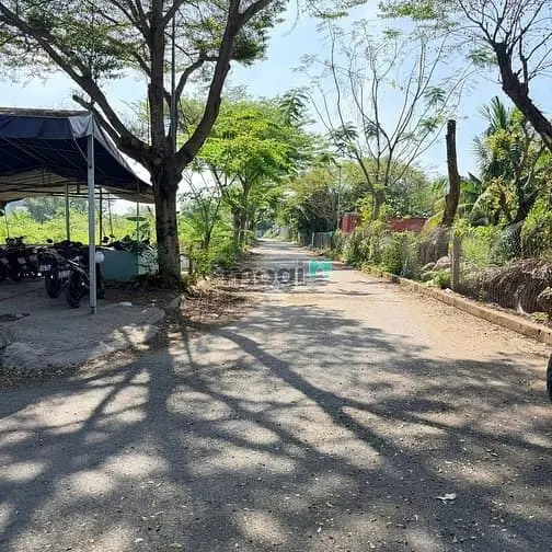 Chính Chủ Gửi Bán Nền Biệt Thự Góc 2 Mặt Tiền Bưng Ông Thoàn P.phú Hữu