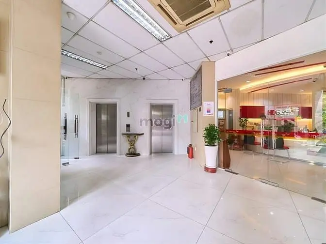 🏢 Tòa Nhà Văn Phòng Vno 179 Nguyễn Cư Trinh - Đẳng Cấp - Giá Mềm 🔥