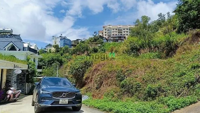 Bán Đất Biệt Thự View Đồi Thông Đường Ô Tô Khe Sanh Thành Phố Đà Lạt