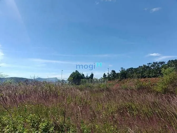 Bán Đất Biệt Thự 236M2 View Đẹp Gần Chợ Xuân Thọ Cách Đà Lạt Chỉ 10Km