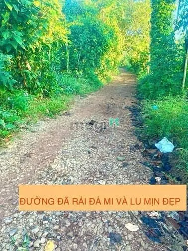 Bán Đất Đỏ Bazan Eakiet Cưmgar 503M2 Cận Hồng Chỉ 170 Triệu