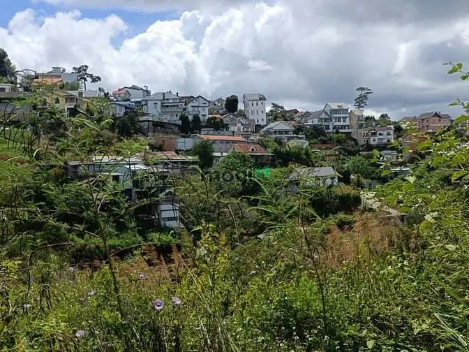 Bán Đất Biệt Thự View Đồi Thông Đường Ô Tô Khe Sanh Thành Phố Đà Lạt