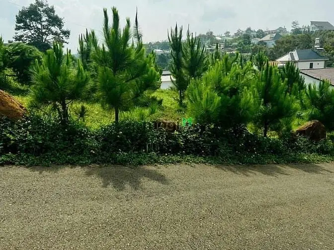 Bán Đất Biệt Thự Tặng View Góc 2 Mặt Tiền Đường Mạc Đĩnh Chi Bảo Lộc