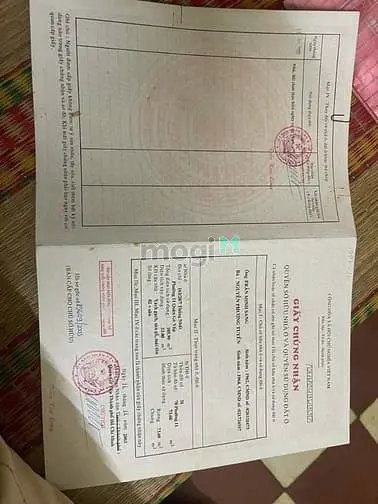 Bán Đất Đẹp Hxh (5X16) 373/1/196 Thống Nhất – P.11 Gò Vấp (Cityland)