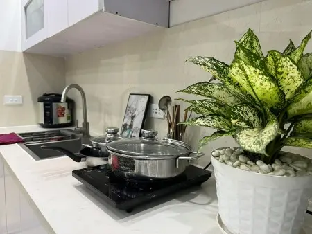 Cho Thuê Căn Hộ 2 Phòng Ngủ Ban Công, Máy Giặt Riêng 228 Âu Cơ