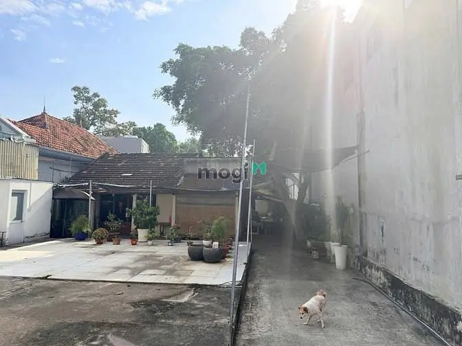 Chính Chủ Gửi Bán Đất Trống Mặt Tiền Đường Số 16 P.thạnh Mỹ Lợi Quận 2