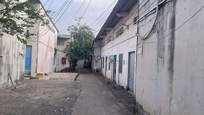 💰Chỉ 11.6 Tỷ Tl Nhẹ __ 📐243M2 📍Cách Hồ Văn Tư - Trường Thọ