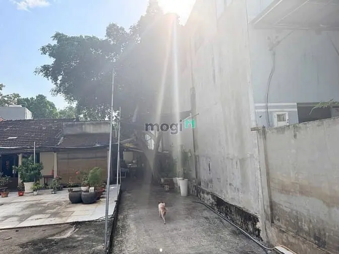 Chính Chủ Gửi Bán Đất Trống Mặt Tiền Đường Số 16 P.thạnh Mỹ Lợi Quận 2