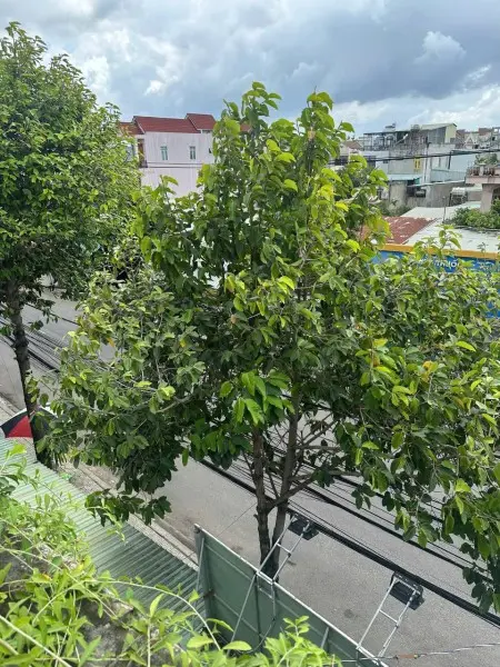 Ktx Chỉ 800K – Bao Trọn Gói – Không Phát Sinh