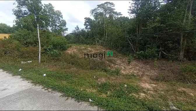 Đất Đầu Tư Phú Quốc Chỉ 1,6 Tỷ