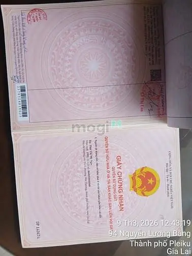 Bán Đất Đồi Thông Phan Đình Phùng, Pleiku Gia Lai