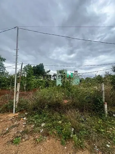 Bán Đất Đồi Thông Phan Đình Phùng, Pleiku Gia Lai