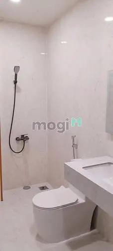 Cho Thuê Nhà Mới Xây Có Thang Máy Mặt Tiền Thái Thị Nhạn, P10, Tân Bìn