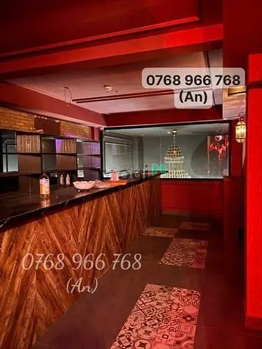 Cho Thuê Nhà Phố Tây 22 Bùi Viện Dt 4X22M 5 Lầu Giá Thuê 215 Triệu