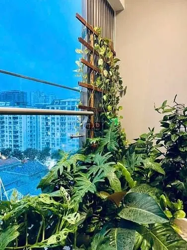 💥 Giá Tốt Hiếm! Midtown M7 2Pn 78M² Full Nội Thất Chỉ 35Tr