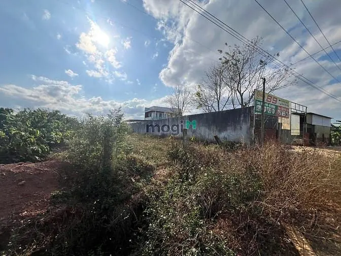 Bán Đất Mặt Tiền Trương Định, Phường An Phú, Pleiku Gia Lai