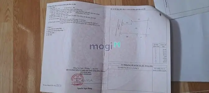 Chính Chủ Gửi Bán Dãy Trọ 20 Phòng Và 3 Căn Nhà Cấp 4 Đang Có Thu Nhập