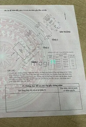 Nhà Đẹp Trần Thị Trọng - Gần Mũi Tàu Cộng Hòa