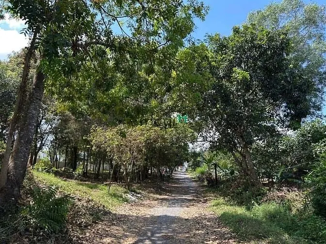 Mặt Tiền Lý Thái Tổ & Mặt Tiền Sông Đồng Nai